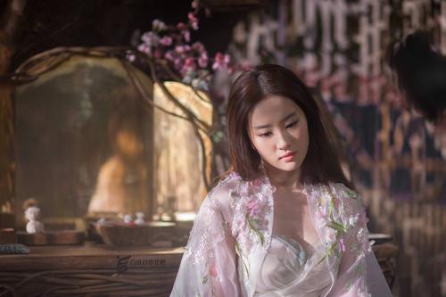内布拉斯加州结婚证假的多少钱